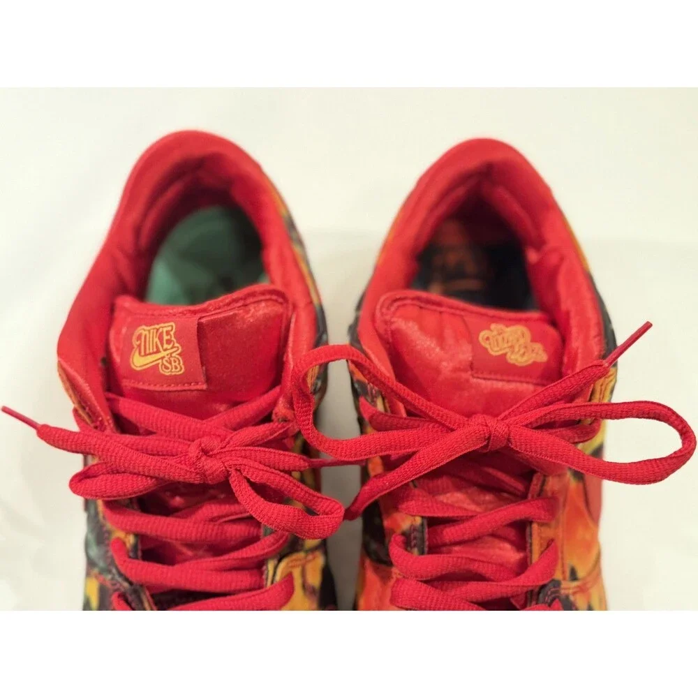 The Wizard of Oz x Nike Dunk SB Low Poppy Field Red Sneakers Size 10.5